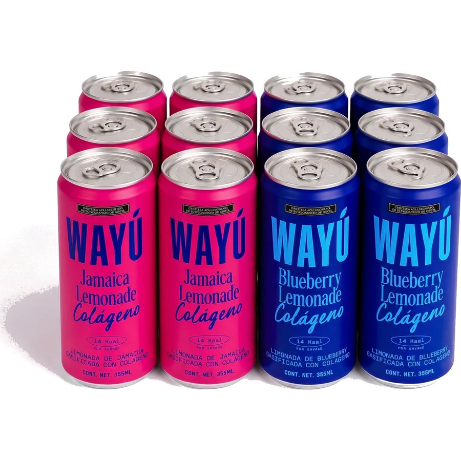 Duo Colágeno · Jamaica + Blueberry · 12 pack
